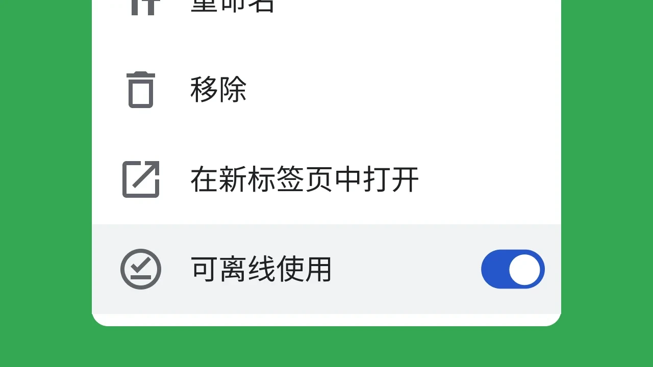 谷歌浏览器离线缓存功能界面